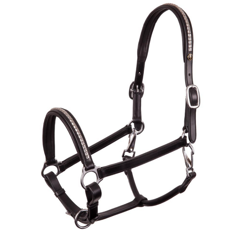 Glasgow Leather Halter